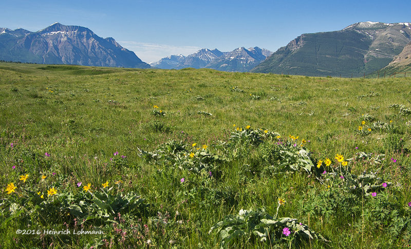 K5I1436-Waterton Lakes National Park.jpg