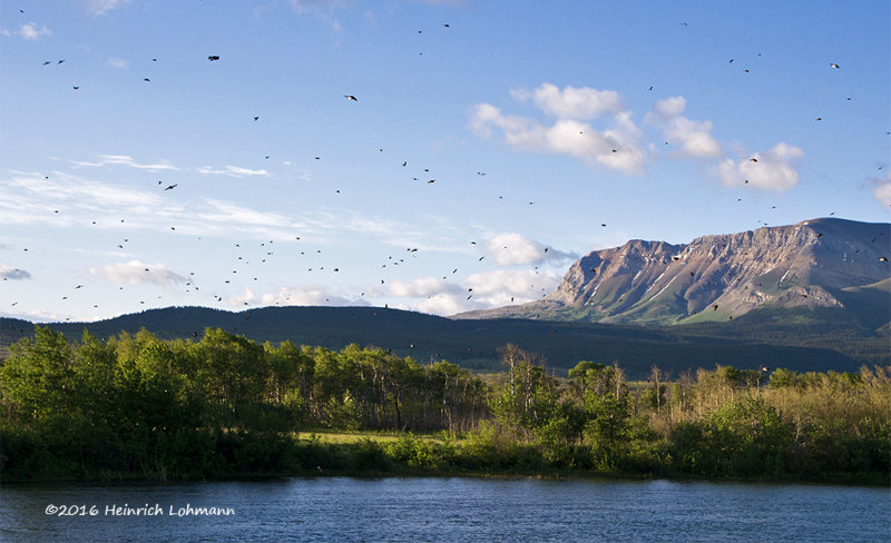 K5I1955-Waterton Lakes National Park.jpg