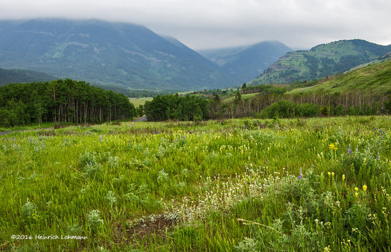 K5I1938-Waterton Lakes National Park.jpg