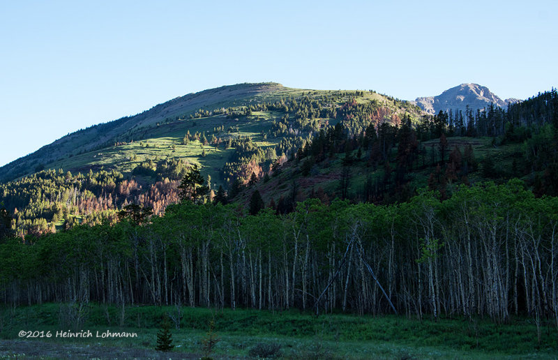 K311917-Waterton Lakes National Park.jpg