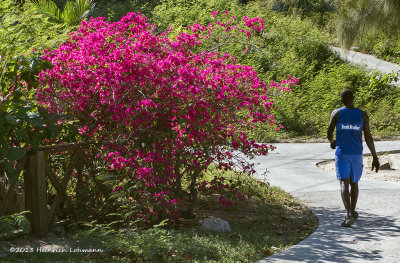 IMP0356-Labadee Haiti.jpg