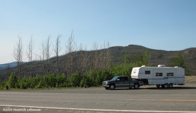 DSCN2550-Yukon Fox Lake burn area.jpg