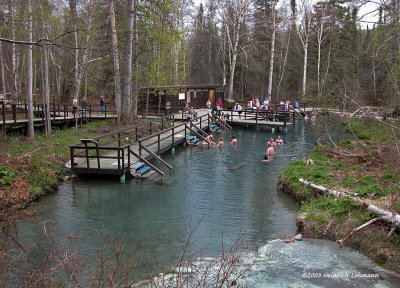 dscn1725-Liard Hot Springs.jpg