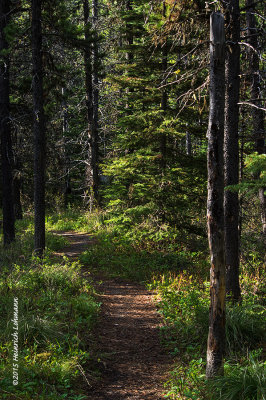 K3B9748-Waterton Lakes National Park.jpg