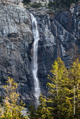 IMP7563-Waterton Lakes National Park.jpg