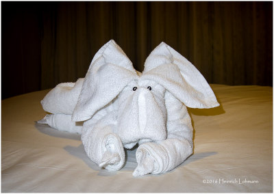 IMP5593-Towel Art.jpg