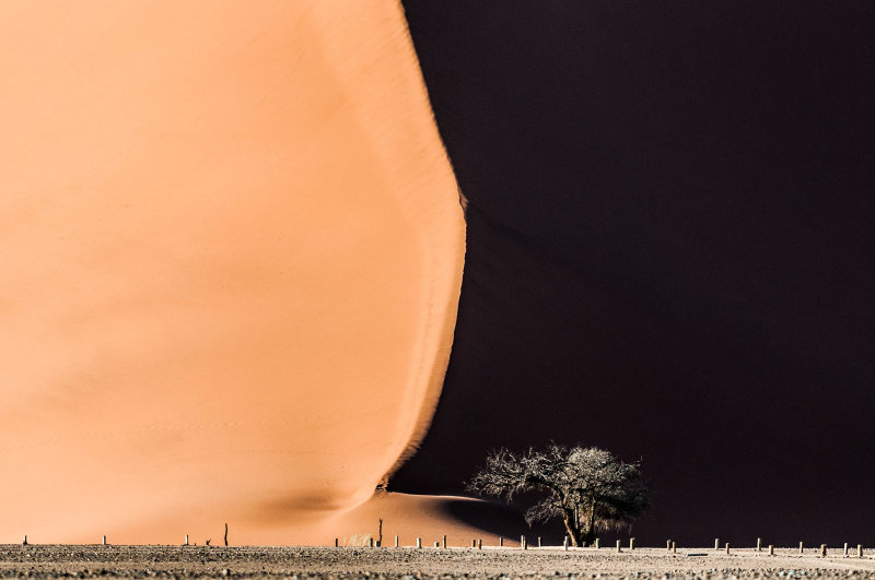 web_namibia-10.JPG