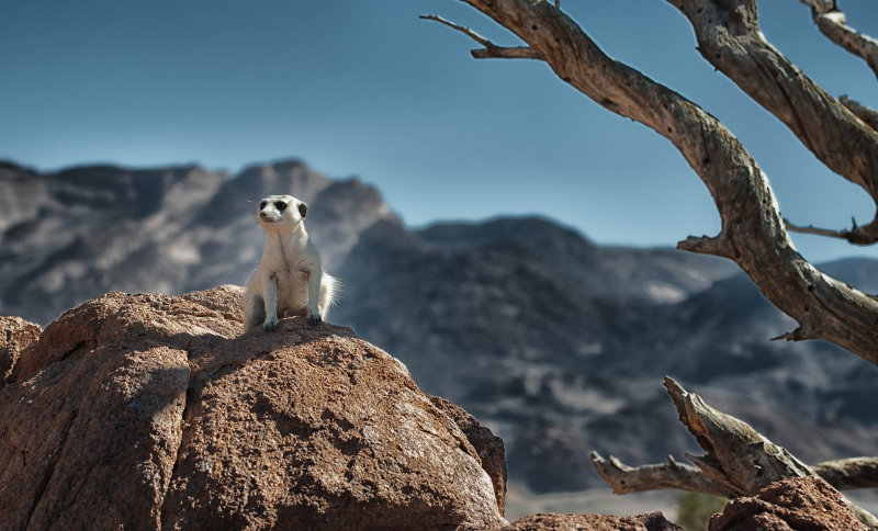 web_namibia-14.JPG