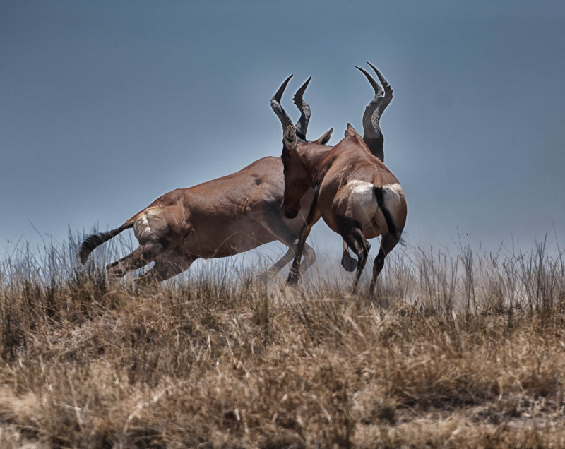 web_namibia-20.JPG