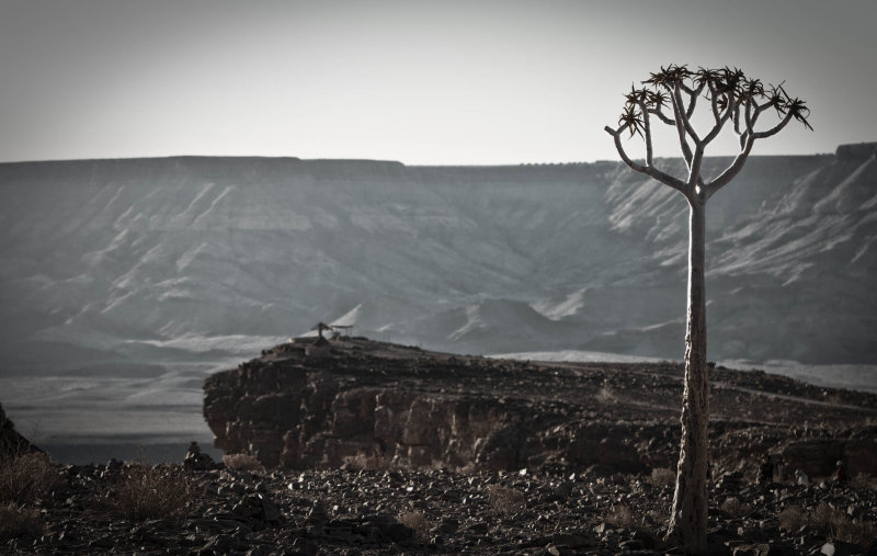 web_namibia-26.JPG