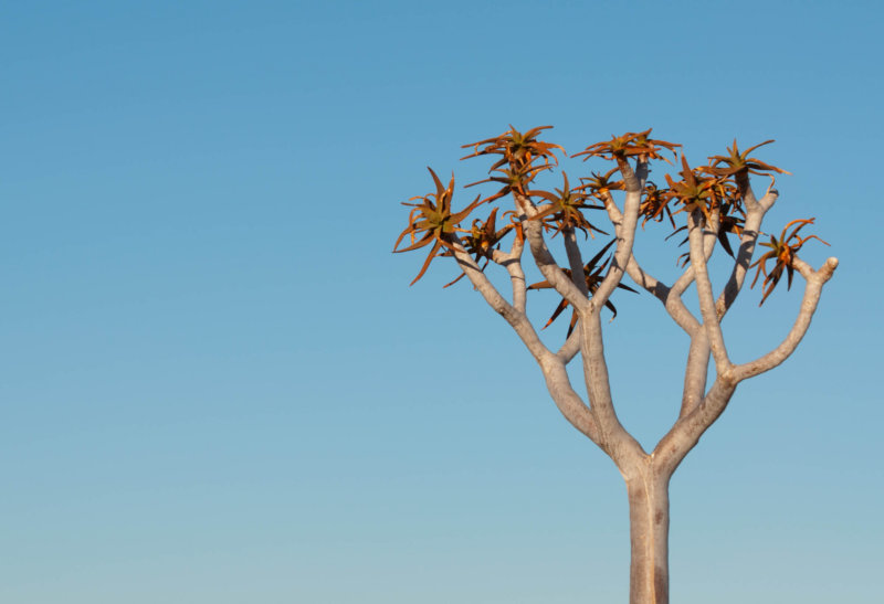 web_namibia-27.JPG