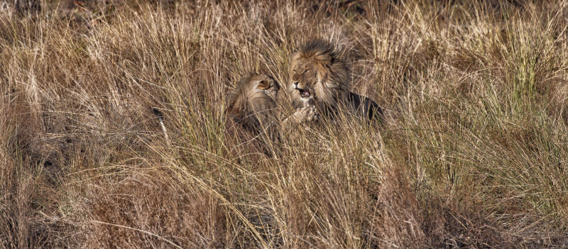 web_namibia-56.JPG