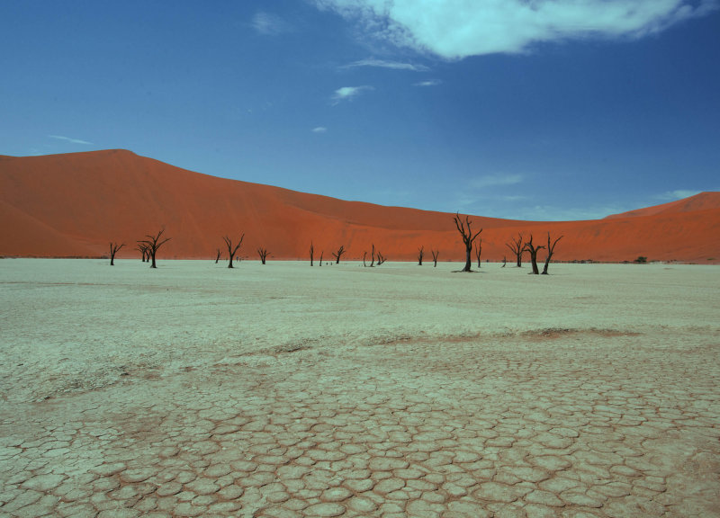 web_namibia-73.JPG
