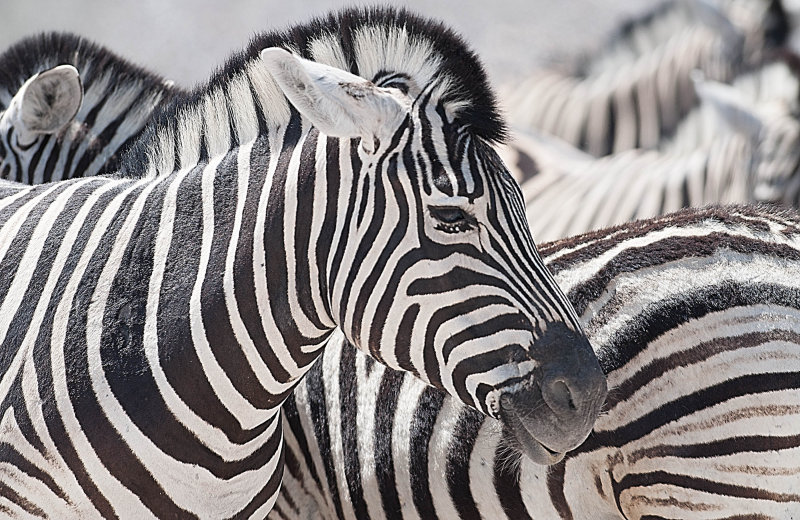 web_namibia-80.JPG