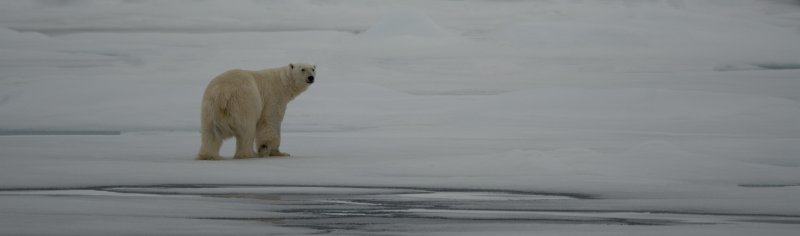 Svalbard10-.jpg