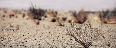 web_namibia-28.JPG