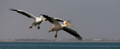 web_namibia-47.JPG