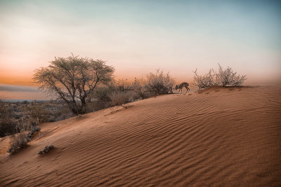 web_namibia-57.JPG