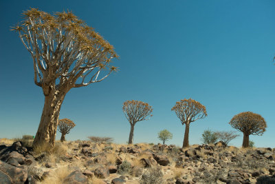 web_namibia-58.JPG