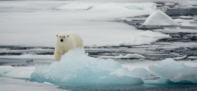 Svalbard1--2 Large.jpg
