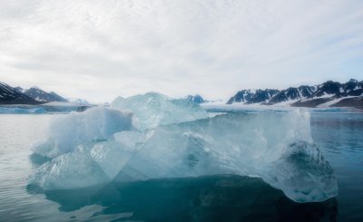 Svalbard1--4 Large.jpg