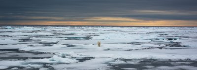 Svalbard-1000-5 Large.jpg