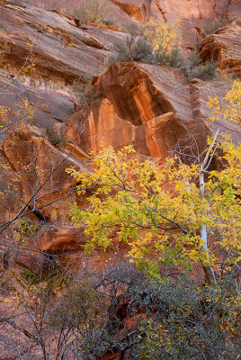 Red Rock in Fall