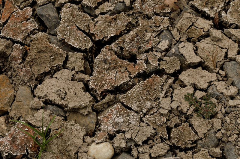  The Parched Earth