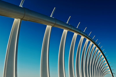 152} Whale Bones Te Rewa Rewa Bridge