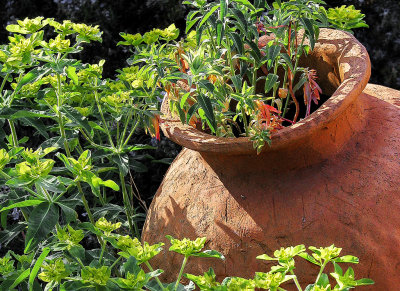  Cottage Garden Pot       