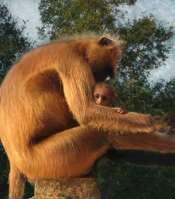  mother and child