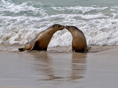 The Kiss