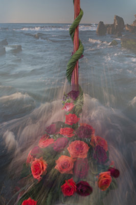  Flowers in the sea