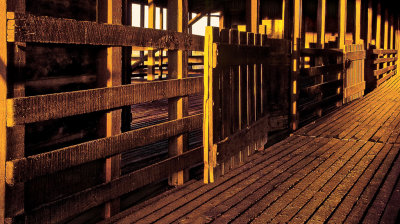Kinchega Woolshed *Merit*