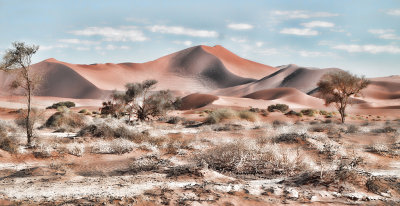 Namibian landscape*Merit*