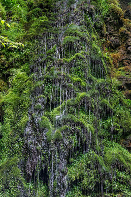  Mossy waterfall