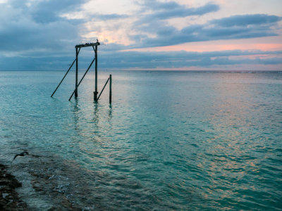 Heron Island*Credit*