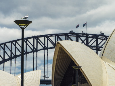  Sydney Icons*Merit*