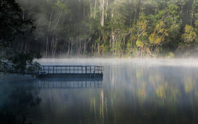 Foggy Dawn on the Lake*Credit*