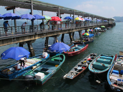 Floating Fish Market.