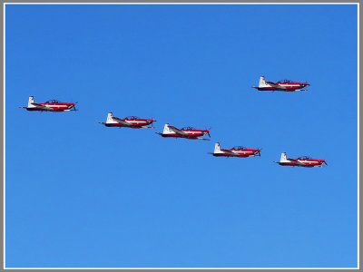  Roulettes in Formation*Credit*