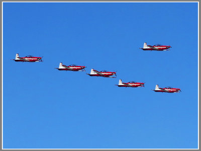  Roulettes in Formation*Credit*