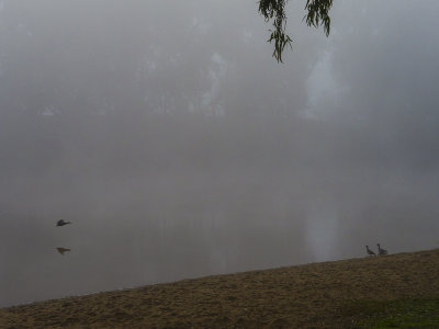  Murrumbidgee Fog4