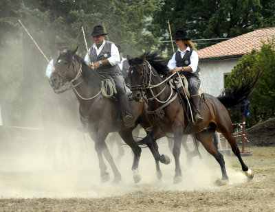 Cowboys of the Maremma