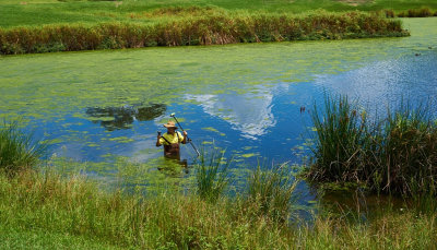 Checking Contamination Levels