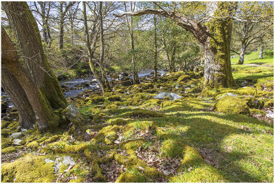 Snowdonia Wales