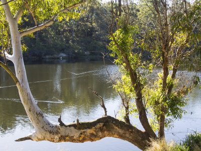  Lake Parramatta