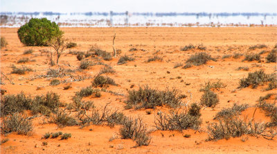 Outback Mirage
