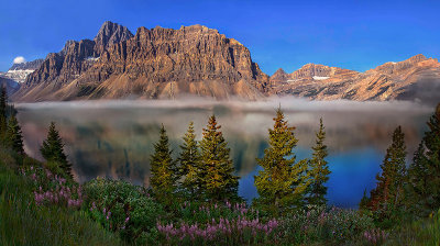 Foggy Morning Bow Lake*Credit*