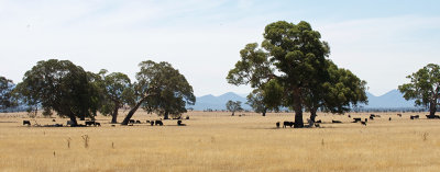 Halls Gap